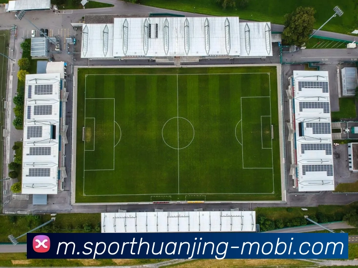 冠竞体育发展历程